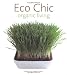 Eco Chic: Organic Living