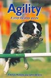 Agility: A Step-By-Step Guide