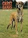 GREAT DANES TODAY (Book of the Breed) by Di Johnson
