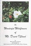 The Wonderful Wild Flowers of Mt. Desert Island