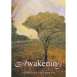 Awakening (DVD)