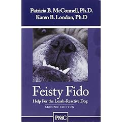 Feisty Fido