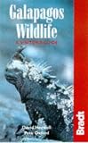 Galapagos Wildlife: A Visitors GUide