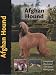 afghan hound : Afghan Hound (Pet Love)