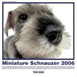The Dog Miniature Schnauzer