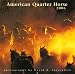 Quarter Horse Book : The 2006 American Quarter Horse Calendar