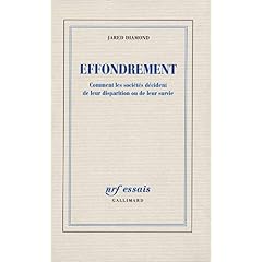 Effondrements