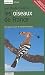 Les Oiseaux de France : Guide vert