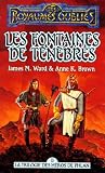 La trilogie des h&eacute;ros de Phlan, tome 2 : Les fontaines de t&eacute;n&egrave;bres