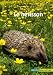 Le h�risson