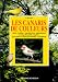 LES CANARIS DE COULEURS