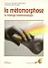 La m�tamorphose