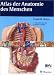 Atlas der Anatomie des Menschen Thieme, Stuttgart