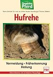 Hufrehe. Gesundes Pferd.