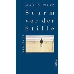Sturm vor der Stille (Gebundene Ausgabe)