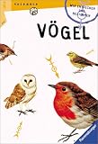 Wir entdecken und bestimmen V&ouml;gel. ( Ab 8 J.).