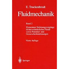 Fluidmechanik 2 (Gebundene Ausgabe)