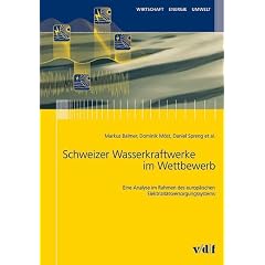 Schweizer Wasserkraftwerke im Wettbewerb (Broschiert)