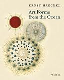 Art Forms In Ocean