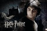 Harry Potter Maxi Date Book 2007.