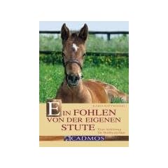 Ein Fohlen von der eigenen Stute