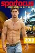 Spartacus International Gay Guide (Multilingual Edition)