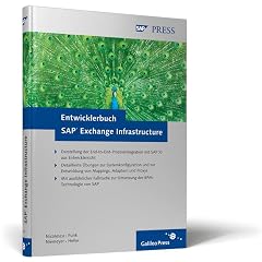 Entwicklerbuch SAP Exchange Infrastructure (Gebundene Ausgabe)