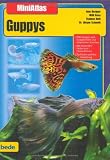 MiniAtlas Guppys