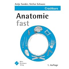 Anatomie fast. Der Crashkurs (Broschiert)