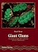 Giant Clams: A Comprehensive Guide to the Identification and Care of Tridacnid Clams by Daniel Knop