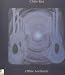 Blue Guitars (disc 1: Beginnings)