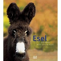 Esel Europas (Gebundene Ausgabe)