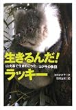 生きるんだ!ラッキー―山火事で生きのこったコアラの物語