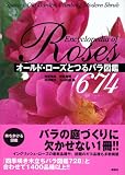 �I�[���h�E���[�Y�Ƃ�o���}��674