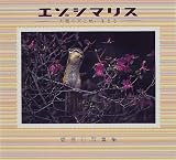 エゾシマリス―愛高行写真集