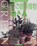 はじめての観葉植物Q&A