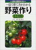 一目で育て方がわかる野菜作り12カ月