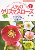 人気のクリスマスローズ―バラエティーに富んだ花色と花形が魅力