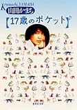17歳のポケット