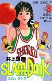 スラムダンク (3)
