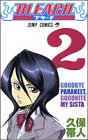 BLEACH (2)
