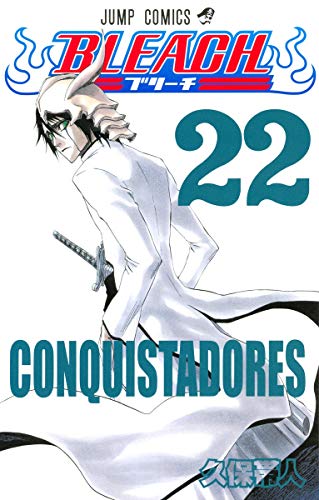 BLEACH (22)
