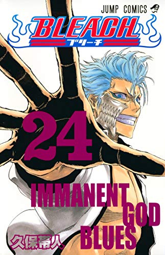 BLEACH (24)