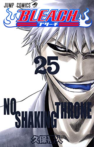 BLEACH (25)