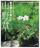 寄せ植えで楽しむ山野草―苔玉からミニ盆栽まで