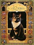 ˂12肢\STAR CATS