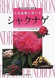 NHK趣味の園芸・人気品種と育て方 シャクナゲ