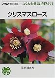 クリスマスローズ