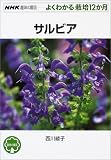 �T���r�A
