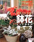 花名人になる!鉢花とっておきの育て方